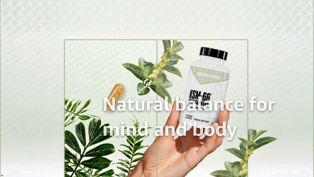 Amazon.com: NutraBio Ashwagandha KSM-66 | Ashwaganda Herbal
